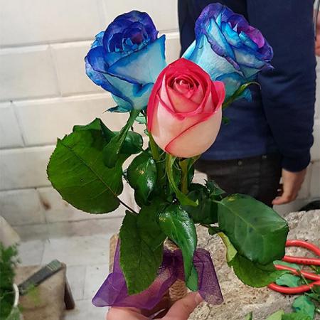 بورس زیباترین انواع گل خمیری رنگی سالنی